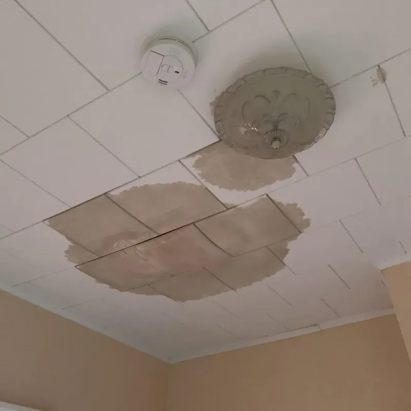 Ceiling Water Damage Repair in Medicine Lodge, KS