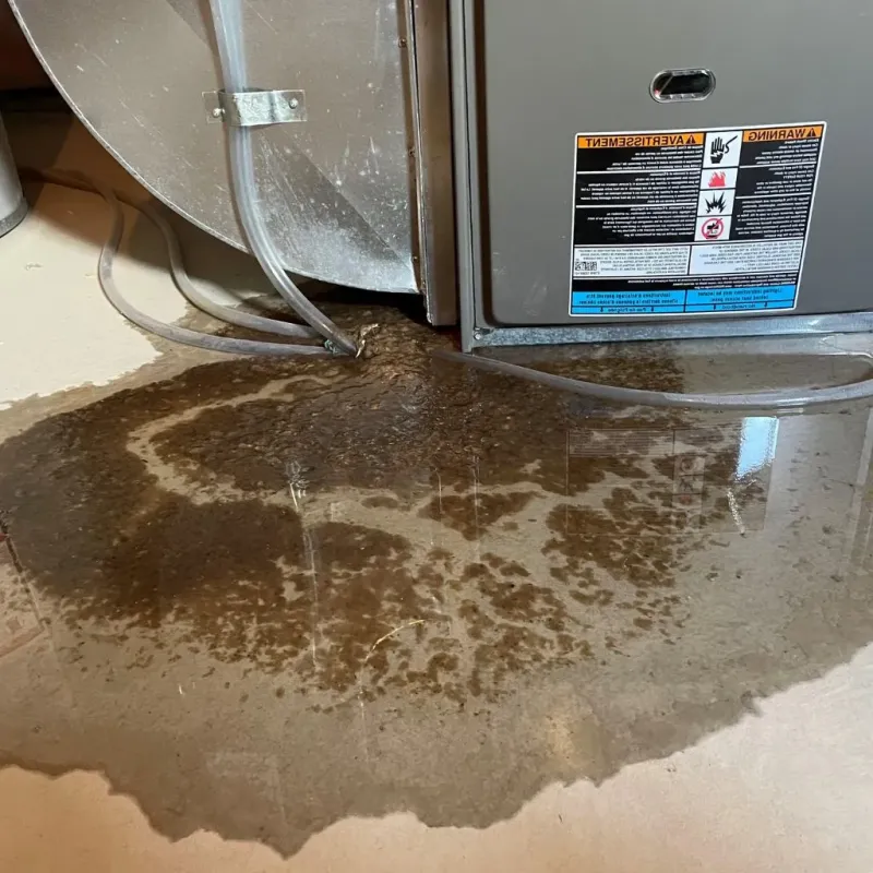 Pipe Burst and Leak Restoration in Medicine Lodge, KS