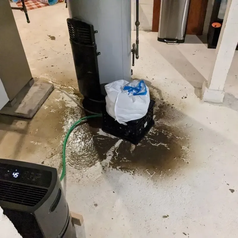 Sewage Backup Cleanup Service in Medicine Lodge, KS